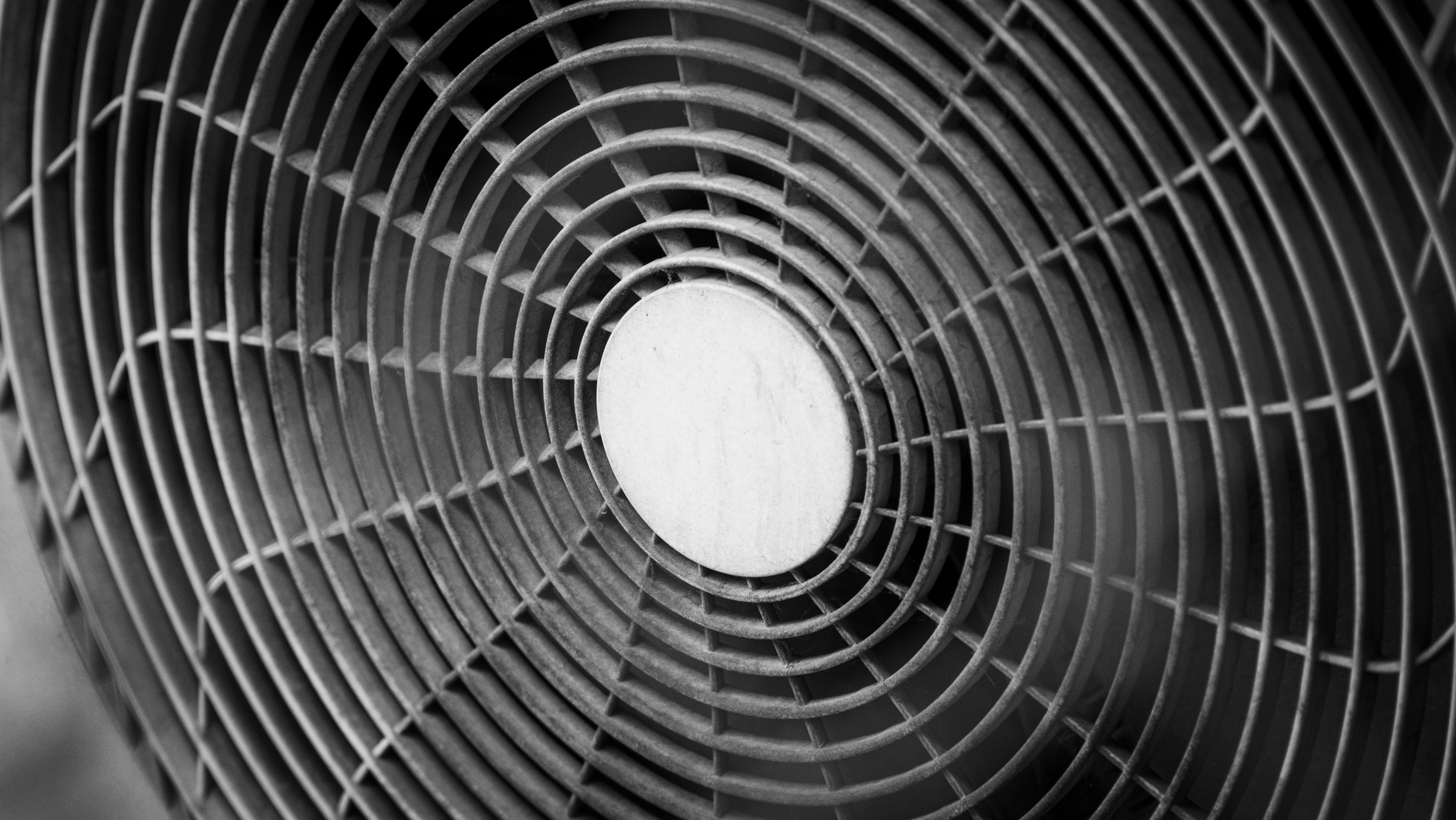 Misting fan array, 3 fans and a pump — view 1